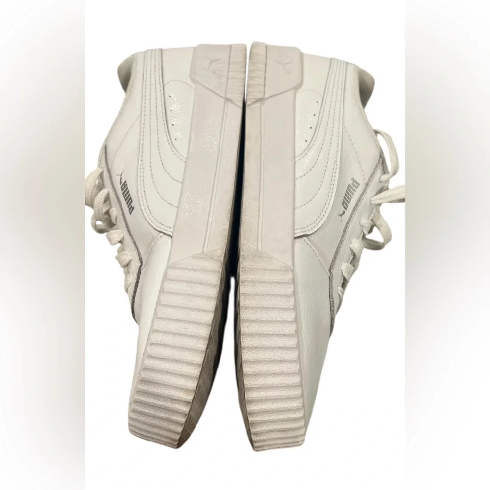 Puma carina street